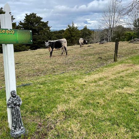 St Karas Cottage - St Enoch And St Elijah Monastery Kaikohe Exterior photo