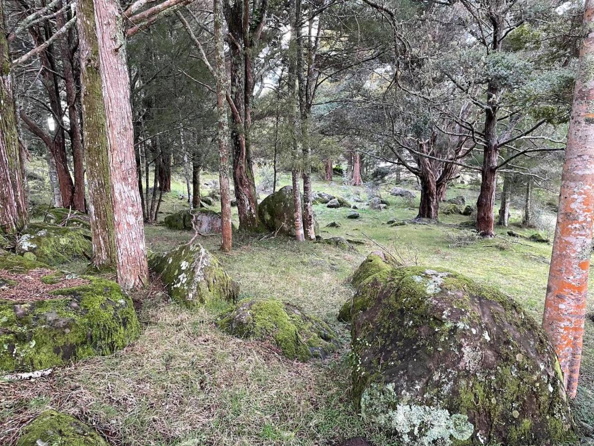 St Karas Cottage - St Enoch And St Elijah Monastery Kaikohe Exterior photo